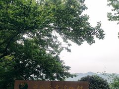 -中国茶叶博物馆(双峰馆区)