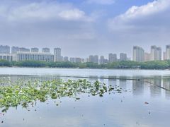 -尚贤河湿地