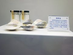 -贝壳王国博物馆