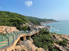 -广东惠东海龟国家级自然保护区