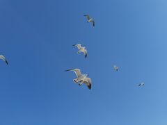 -长岛南北长山旅游景区