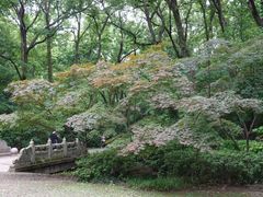 -灵谷景区