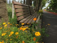 -上海长兴岛郊野公园