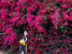 -厦门国家会计学院