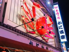 -蟹道乐(道顿堀本店)