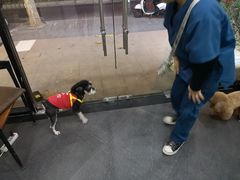 -仁普宠物诊所(住友昌盛新苑店)