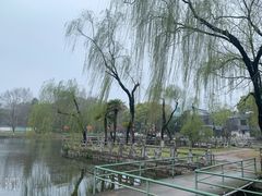 -菱湖风景区