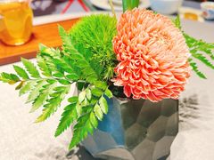 -南堂馆·新川菜(春熙路店)