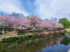 -元大都城垣遗址公园