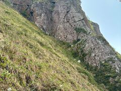 -七仙岭温泉国家森林公园