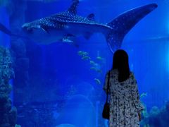 -成都浩海立方海洋公园