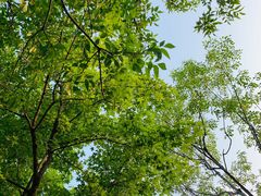 -永定河休闲森林公园