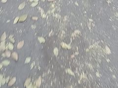 -海尔巴格一甸茶餐厅(团结路店)