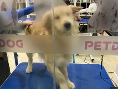 -牧马人宠物医院