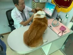 -乐宠动物医院