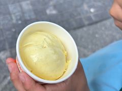 -iceason爱茜茜里·意大利健康冰淇淋(骑龙巷店)