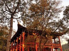-顺峰山公园