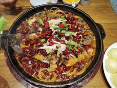 -老板恋上鱼(高新万达店)