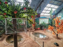 -西霞口神雕山野生动物世界