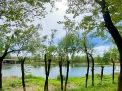 -鉴湖国家城市湿地公园