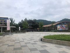 -杭州开元森泊度假乐园