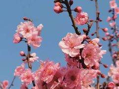 -江苏三台山国家森林公园