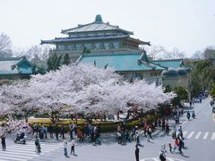 -武汉大学-樱园