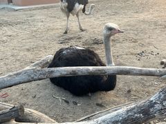 -祥源·阜阳生态乐园