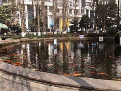 -温江公园