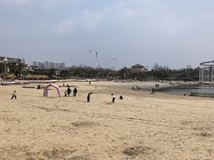 -九龙湖公园