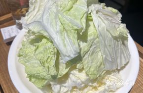 Tangshan Napa Cabbage