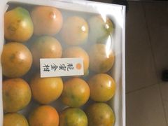-坂田天虹