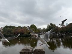 -熙楼(翠湖店)