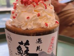 -狐狸家·酸奶酪专门店(平江路店)