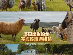 -卢米埃影城(长楹天街IMAX激光店)
