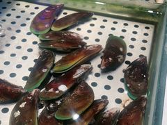 -SEA西雅图海鲜自助餐厅(海乐世界店)