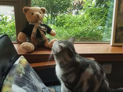 -咖法森林·咖啡  酒吧(天河店)