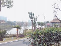 景点-枫香湖儿童公园