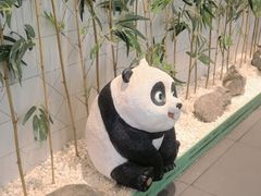 -麻辣空间·清油火锅(万达广场店)