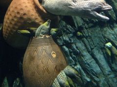 -广东省拱北口岸中国旅行社(华宾营业部)