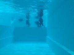 -上海潜殿潜水中心