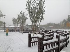 -西海子公园
