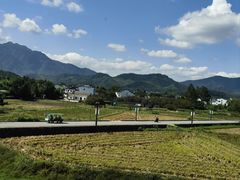 -黄牛肉馆·皖南土菜