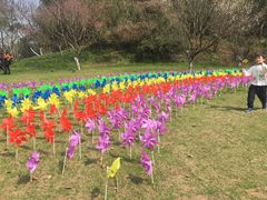 -常德桃花源景区