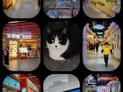 -物美大卖场(玉蜓桥店)