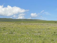 -花湖生态旅游区