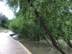 -宝安西湾红树林湿地公园