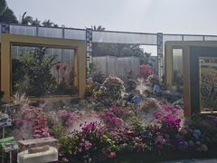 -莲花山公园