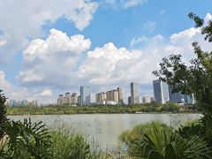 -洛龙公园