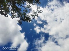 -木王宴语·野生鲜菌火锅(玉河店)